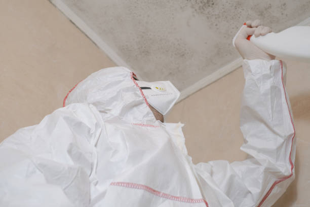 Best Mold Testing and Inspection Services in Coon Rapids, MN